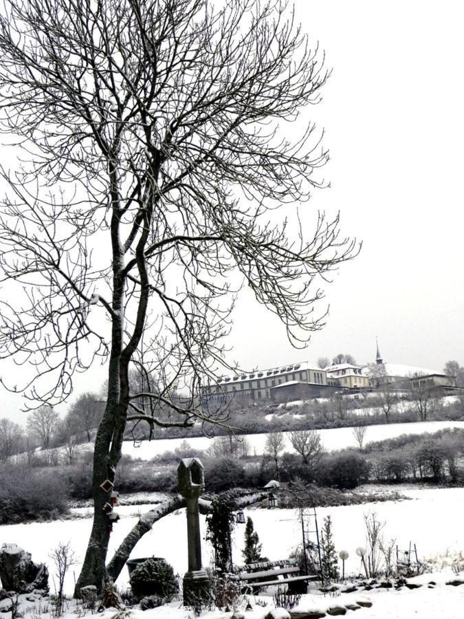 Ferienwohnung Am Klosterberg 6 Bad Brückenau Kültér fotó