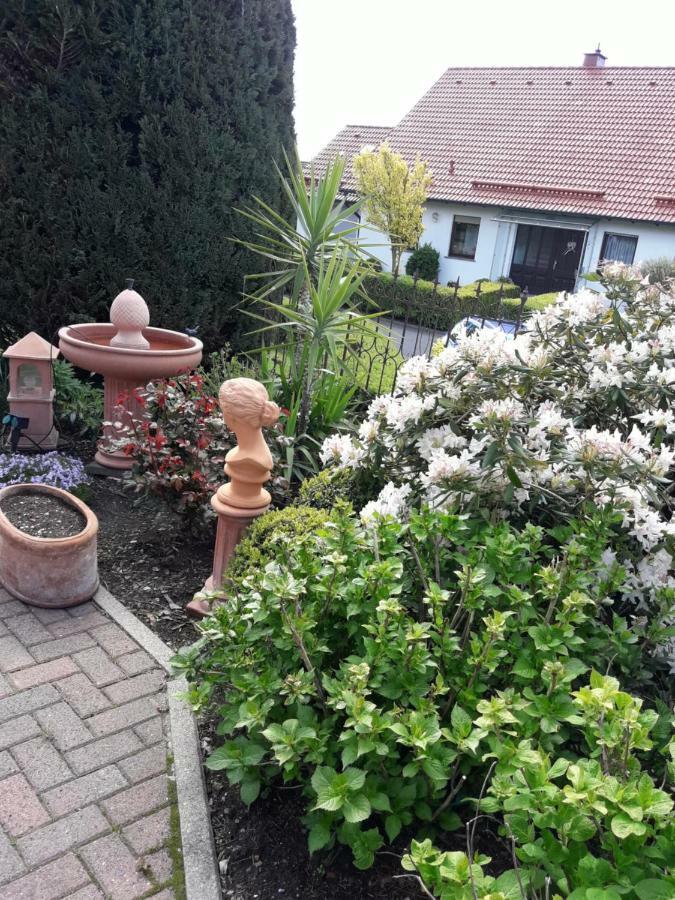 Ferienwohnung Am Klosterberg 6 Bad Brückenau Kültér fotó