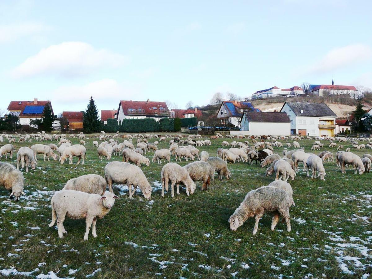Ferienwohnung Am Klosterberg 6 Bad Brückenau Kültér fotó